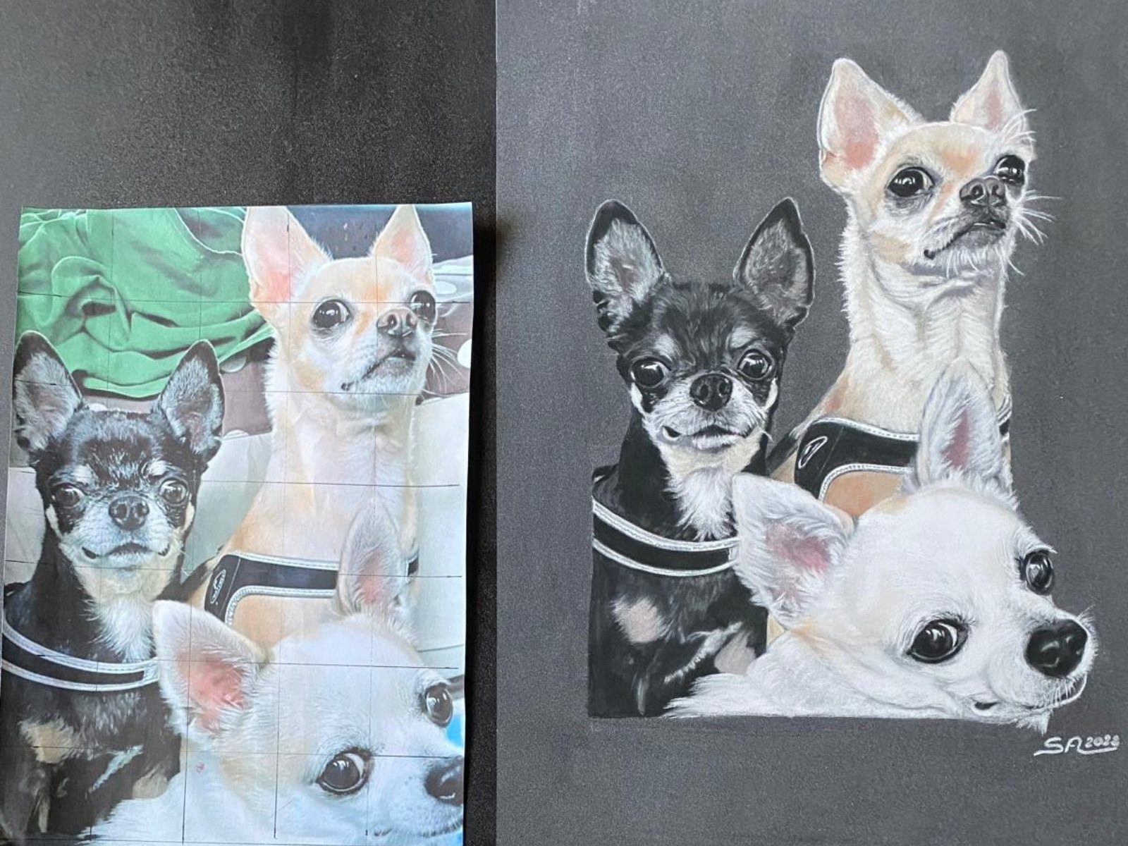 Ritratto di tre chihuahua a pastello, disegnato da un ospite
