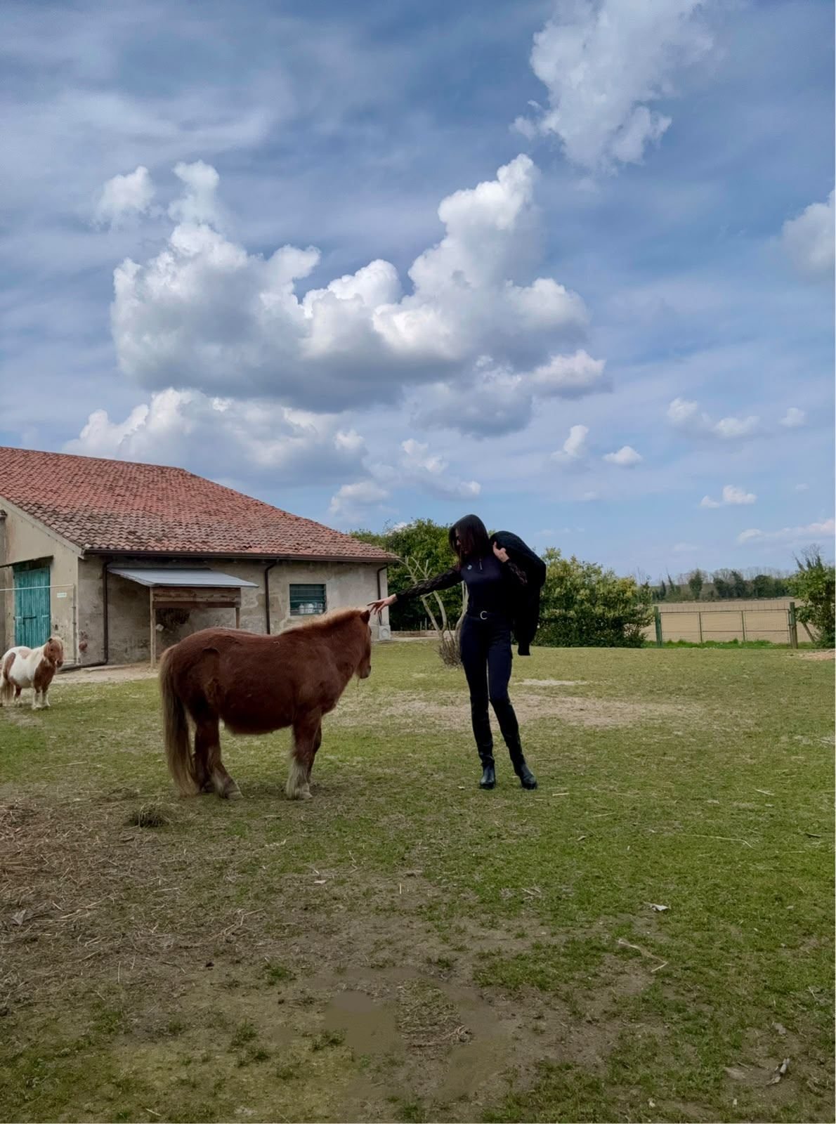 I pony di Residence La Dea nel prato